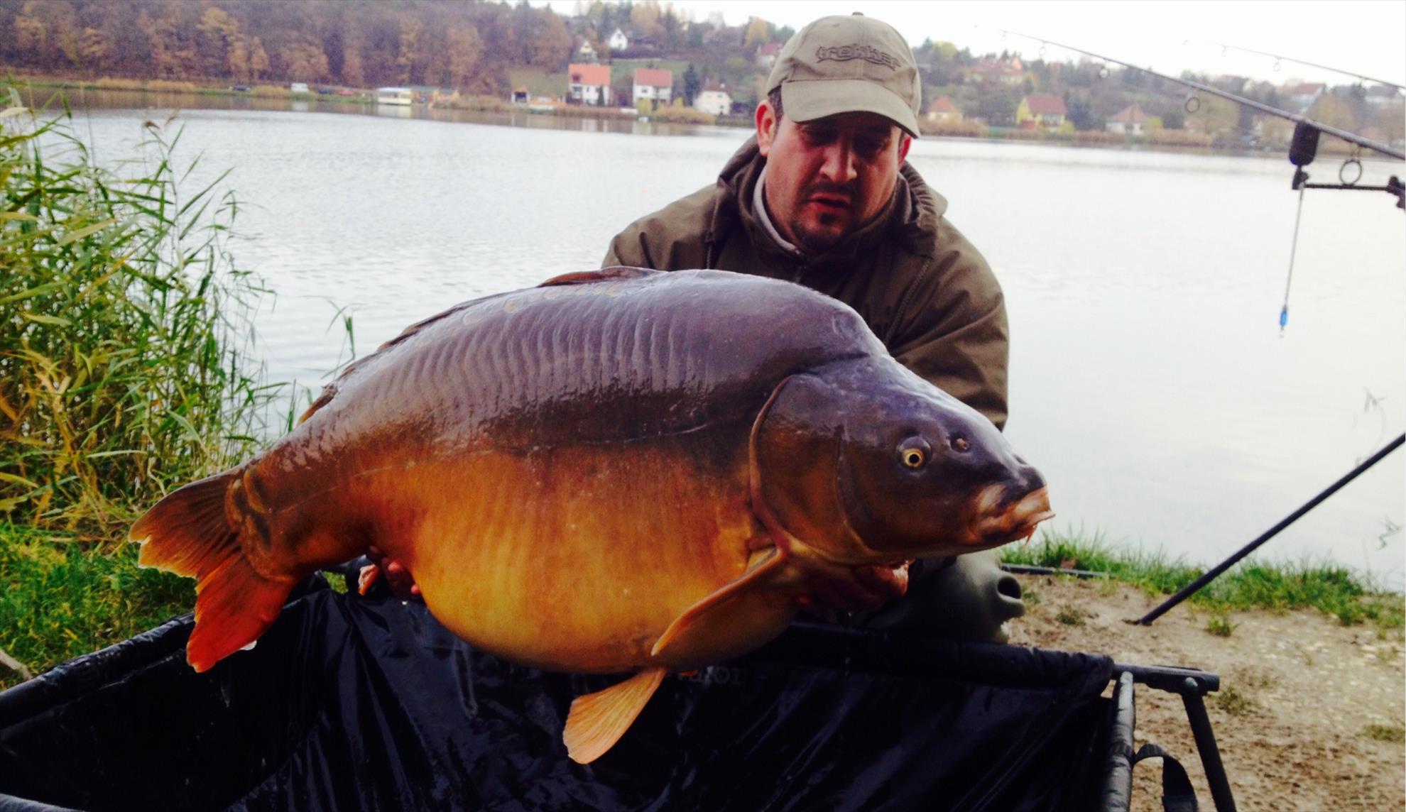 Harsany noiembrie 2013 - image1111.jpg